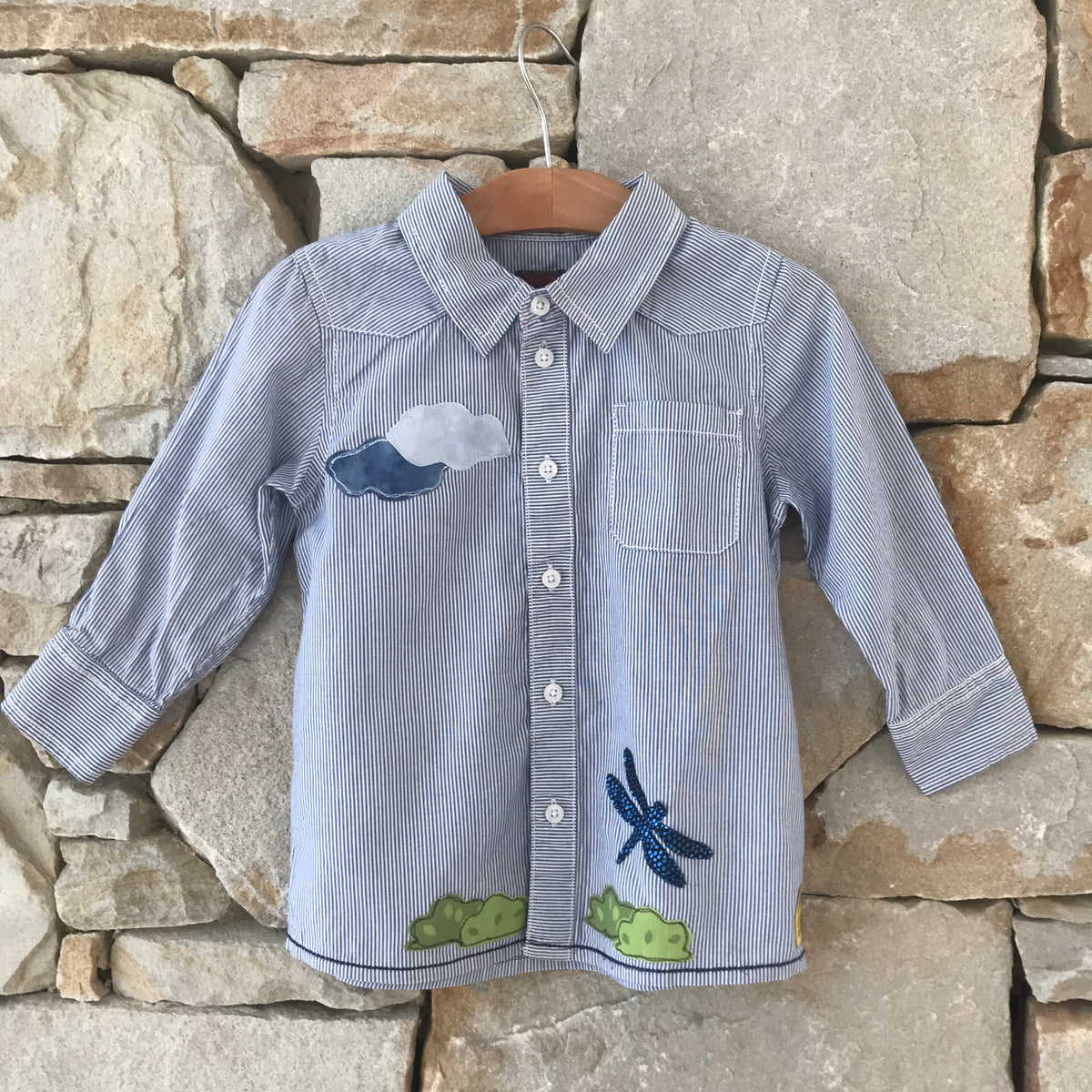 Dragonfly Shirt: Size 18months