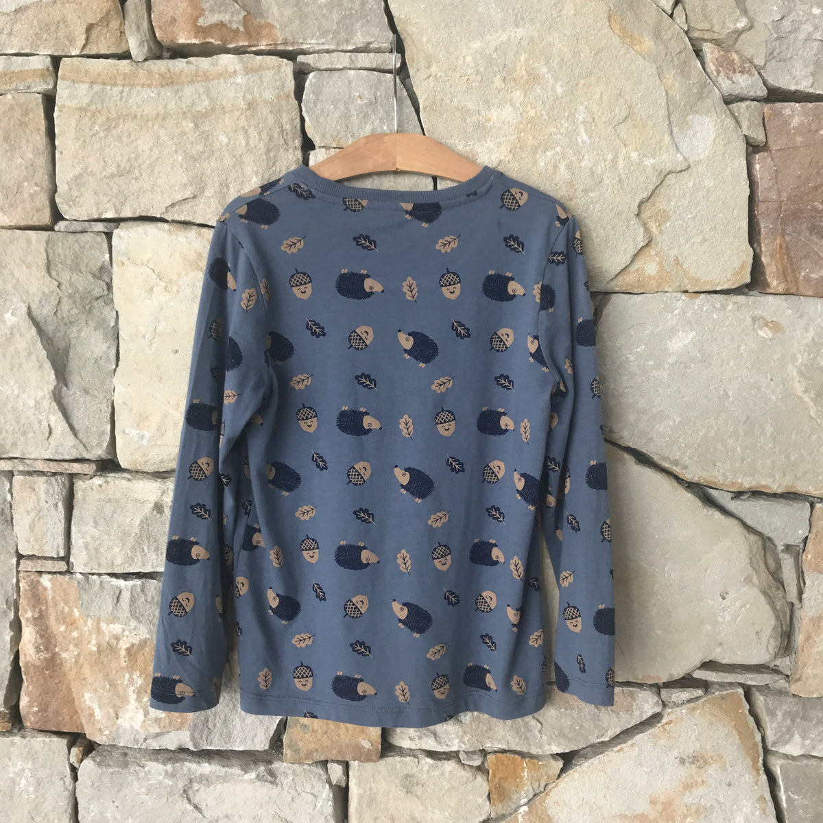 Hedgehogs, acorns &amp; leaves long sleeved t shirt: size 7